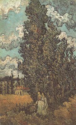 Vincent Van Gogh Cypresses and Two Women (nn04) oil painting picture